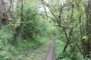 Vallée du chemin de Davenescourt